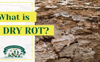 What is Dry Rot?