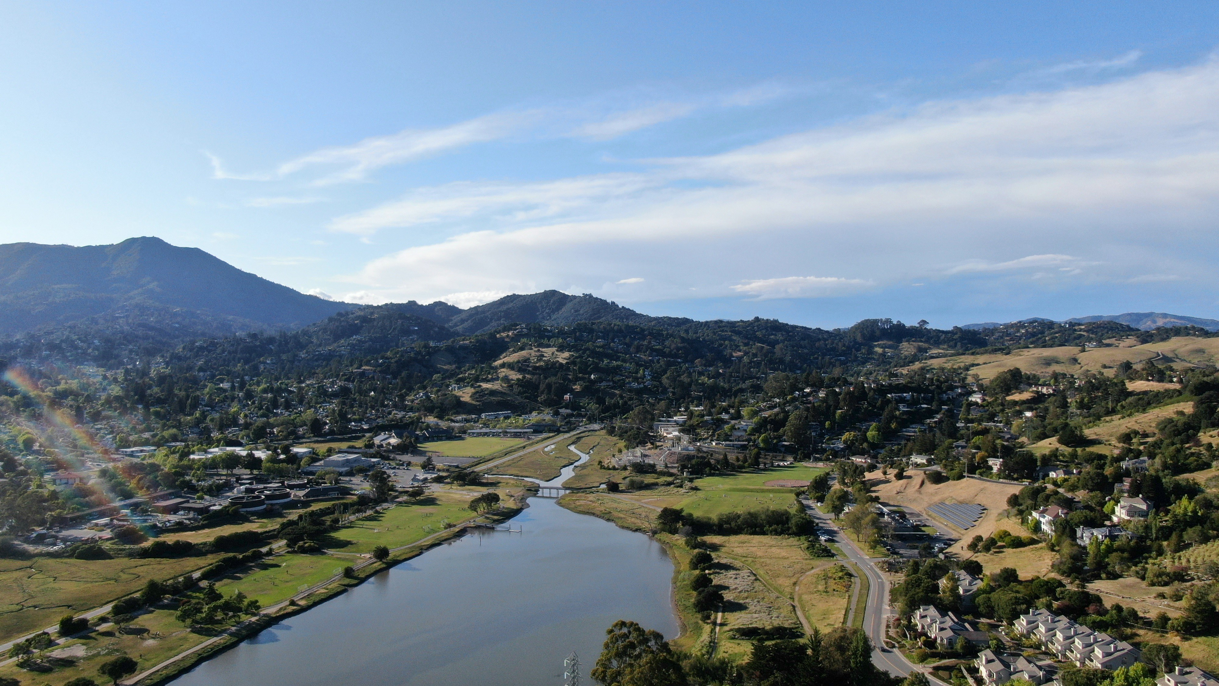 McCarthy Painting Company team — Mill Valley house painters since 1969