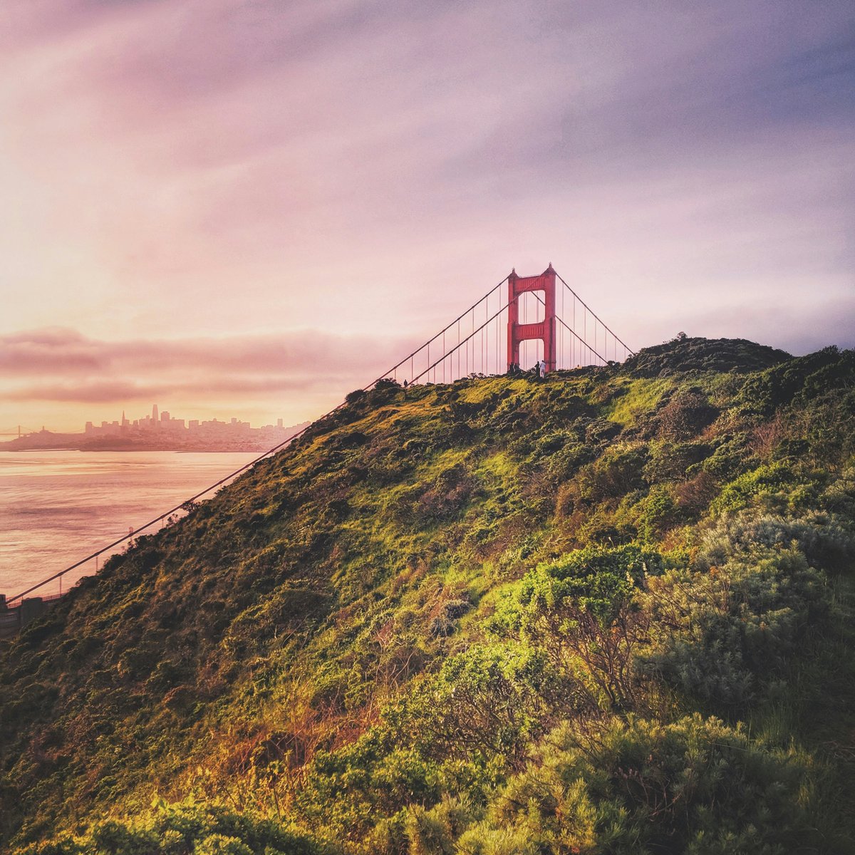 View of the Golden Gate Bridge and San Francisco skyline from the Marin Headlands — McCarthy Painting, Marin County painters since 1969