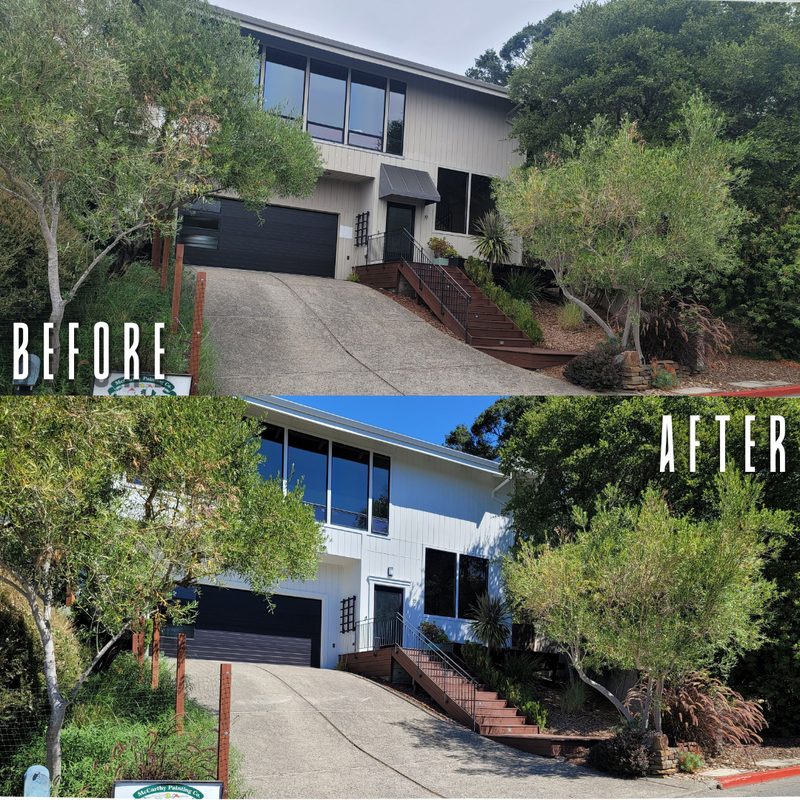 Marin County painting transformation before and after at 19 Tweed Terrace — McCarthy Painting