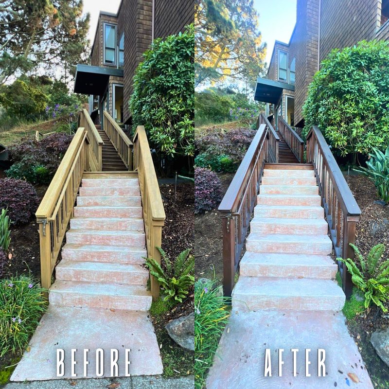 Marin County painting transformation before and after at 7 Arana Cir — McCarthy Painting